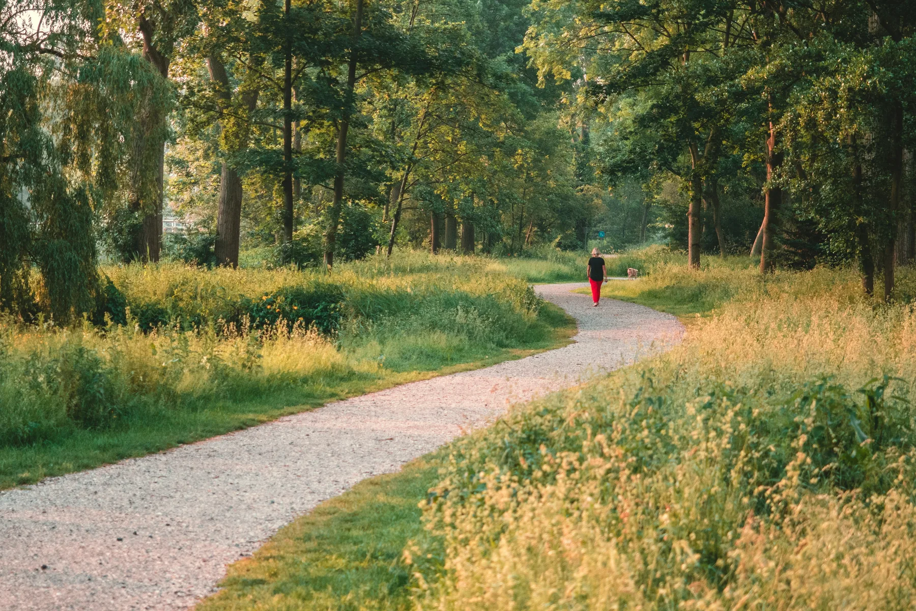 Relaxed outdoor walking as part of everyday movement and an active lifestyle